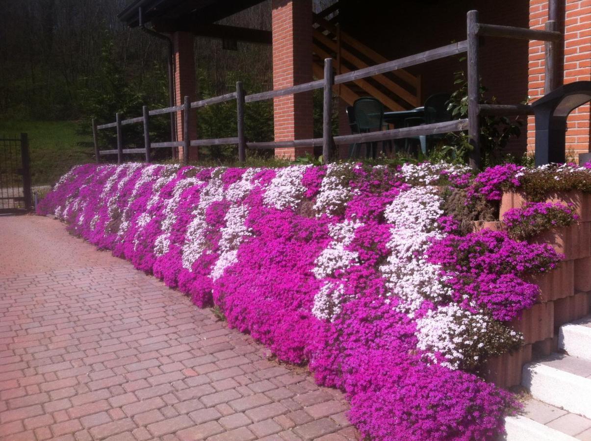 Altana Del Motto Rosso Agroturismo *